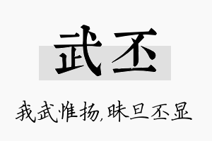 武丕名字的寓意及含义