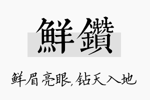 鲜钻名字的寓意及含义