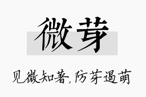 微芽名字的寓意及含义