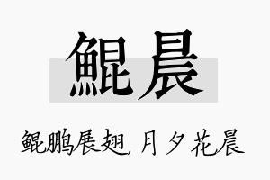 鲲晨名字的寓意及含义