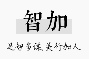 智加名字的寓意及含义