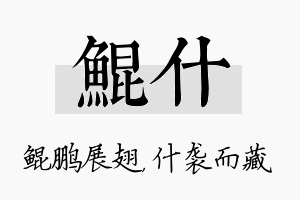 鲲什名字的寓意及含义