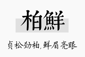 柏鲜名字的寓意及含义