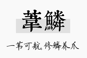 苇鳞名字的寓意及含义