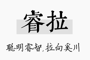 睿拉名字的寓意及含义