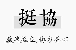 挺协名字的寓意及含义