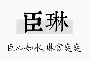 臣琳名字的寓意及含义