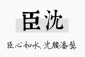 臣沈名字的寓意及含义