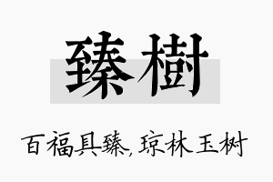 臻树名字的寓意及含义