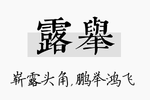 露举名字的寓意及含义