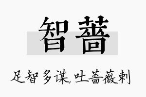 智蔷名字的寓意及含义