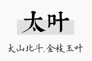 太叶名字的寓意及含义