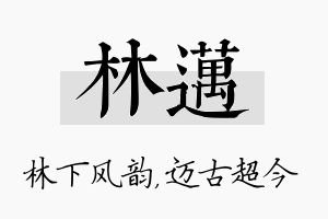 林迈名字的寓意及含义