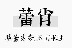 蕾肖名字的寓意及含义