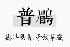 普鹛名字的寓意及含义