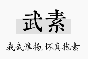 武素名字的寓意及含义