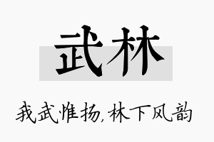 武林名字的寓意及含义