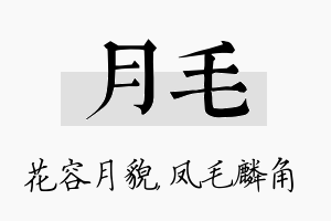 月毛名字的寓意及含义