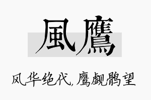 风鹰名字的寓意及含义