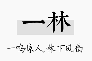 一林名字的寓意及含义