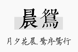 晨鸳名字的寓意及含义