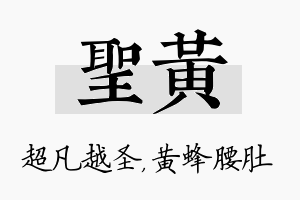 圣黄名字的寓意及含义