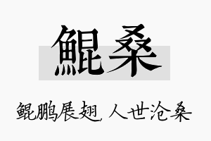 鲲桑名字的寓意及含义