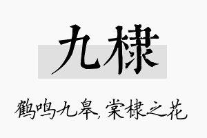 九棣名字的寓意及含义