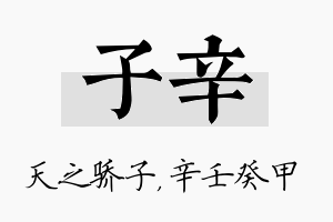 子辛名字的寓意及含义