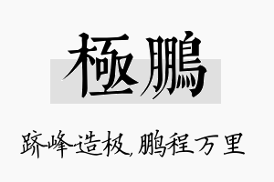 极鹏名字的寓意及含义