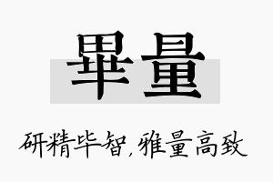 毕量名字的寓意及含义