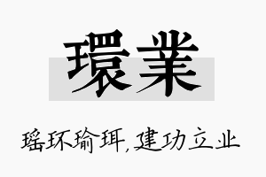 环业名字的寓意及含义