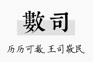 数司名字的寓意及含义