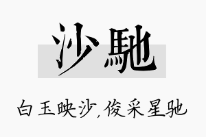 沙驰名字的寓意及含义