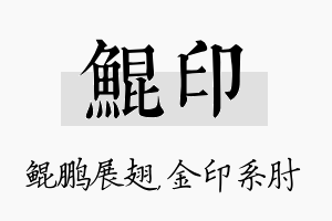 鲲印名字的寓意及含义