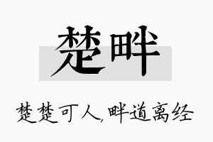 楚畔名字的寓意及含义