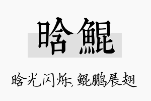 晗鲲名字的寓意及含义