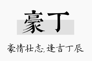 豪丁名字的寓意及含义