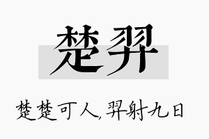 楚羿名字的寓意及含义