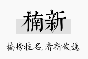 楠新名字的寓意及含义