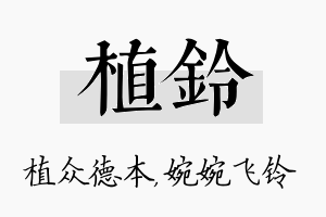 植铃名字的寓意及含义