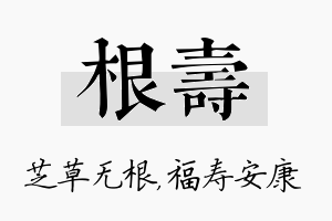 根寿名字的寓意及含义