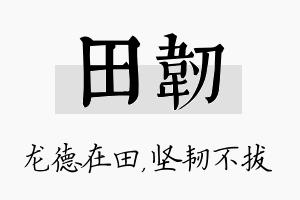 田韧名字的寓意及含义