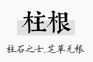 柱根名字的寓意及含义