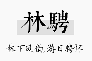 林骋名字的寓意及含义