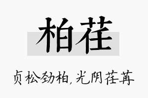 柏荏名字的寓意及含义