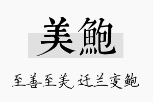 美鲍名字的寓意及含义