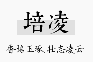 培凌名字的寓意及含义