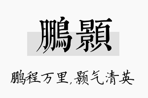 鹏颢名字的寓意及含义