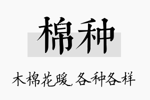 棉种名字的寓意及含义